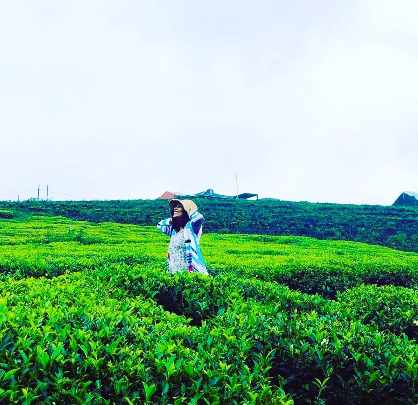 The Tea Garden Vila Nuwara Eliya Exterior foto