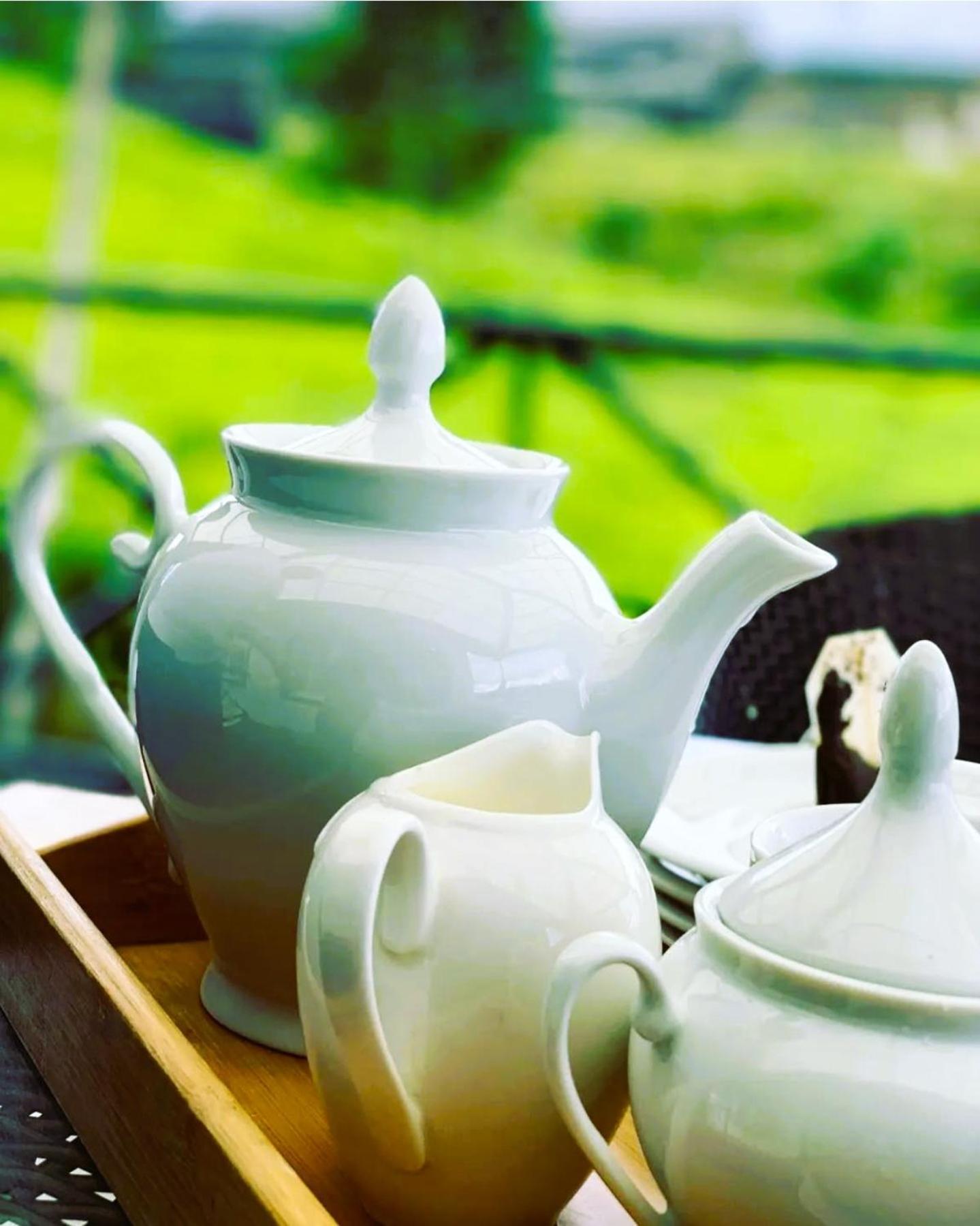 The Tea Garden Vila Nuwara Eliya Exterior foto