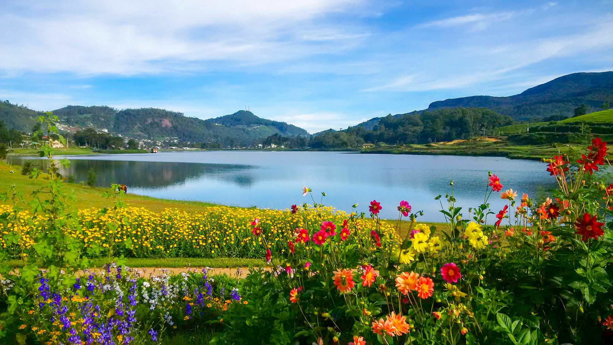 The Tea Garden Vila Nuwara Eliya Exterior foto